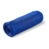 Picture of Chill Cooling Sports Towel