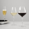 Picture of Carrol Boyes White Wine Glass Set of 2 Connoisseur