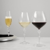 Picture of Carrol Boyes Red Wine Glass Set Of 2 Connoisseur