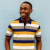 Picture of Mens Striped Golf Shirt