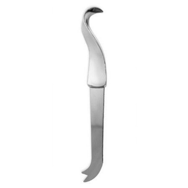 Picture of Carrol Boyes Cheese Knife-New Leaf