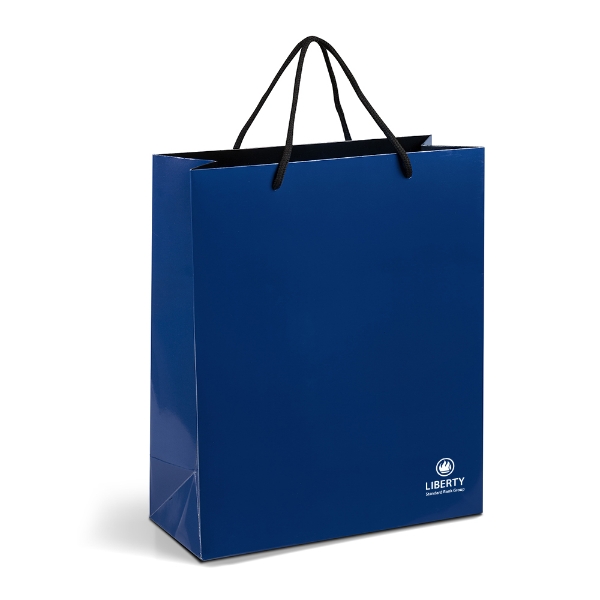 Picture of Altitude Dazzle Maxi Paper Gift Bag